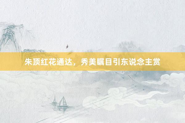 朱顶红花通达,秀美瞩目引东说念主赏