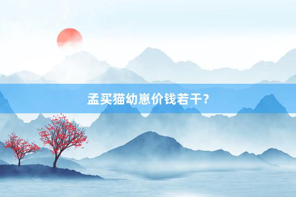 孟买猫幼崽价钱若干？